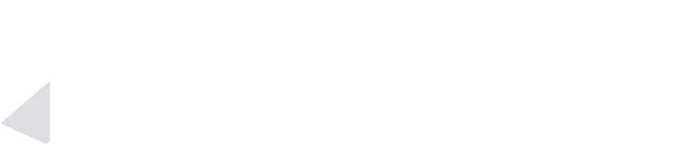 Velocidia logo
